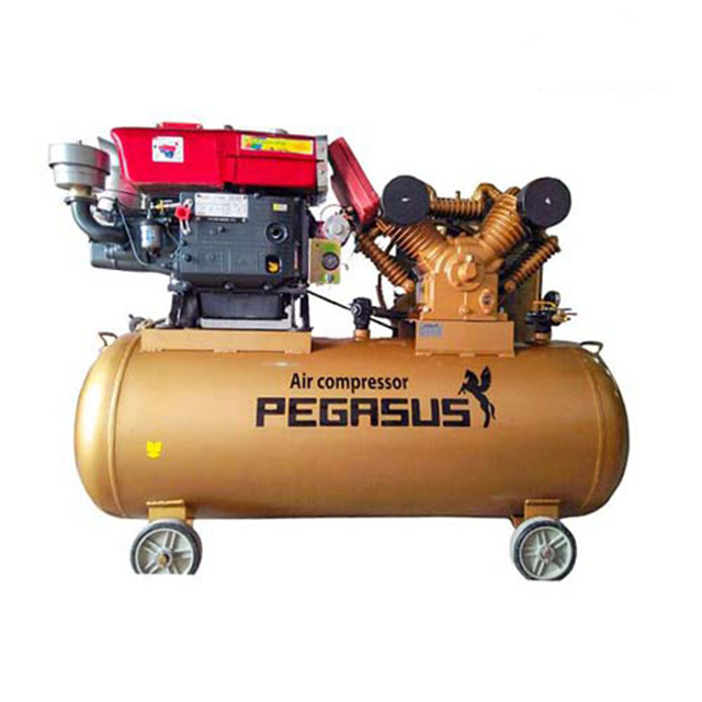 Máy nén khí chạy dầu Pegasus TM-V-1.05/12.5 - 500L